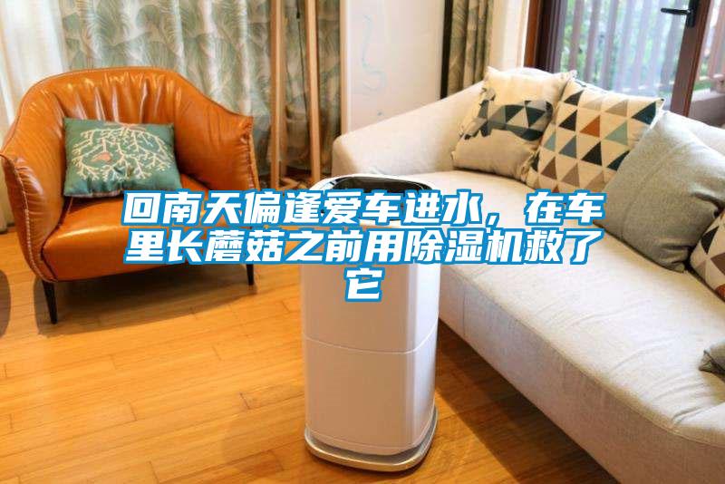 回南天偏逢愛車進(jìn)水，在車?yán)镩L蘑菇之前用除濕機(jī)救了它