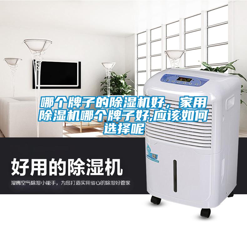 哪個(gè)牌子的除濕機(jī)好，家用除濕機(jī)哪個(gè)牌子好,應(yīng)該如何選擇呢
