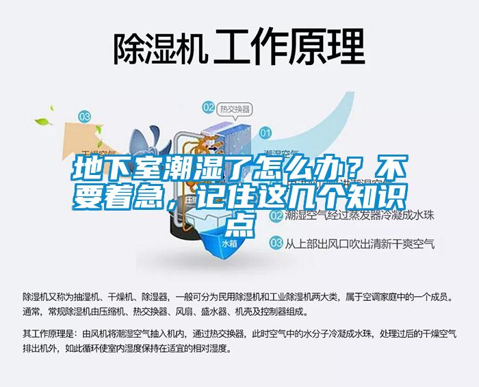 地下室潮濕了怎么辦？不要著急，記住這幾個知識點