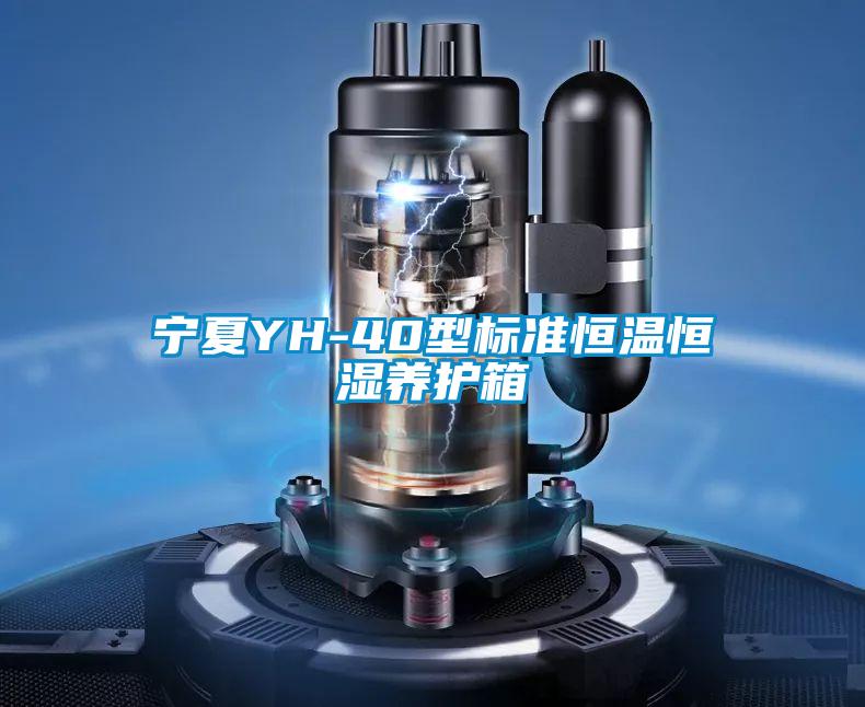 寧夏YH-40型標準恒溫恒濕養(yǎng)護箱