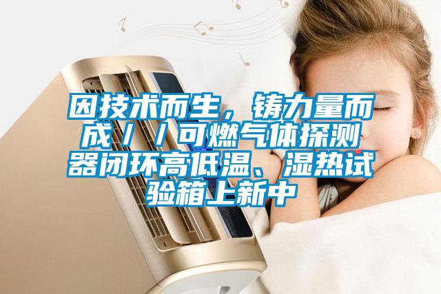 因技術而生，鑄力量而成／／可燃氣體探測器閉環(huán)高低溫、濕熱試驗箱上新中
