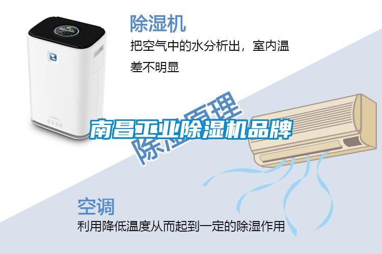 南昌工業(yè)除濕機品牌
