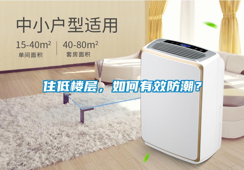 住低樓層，如何有效防潮？