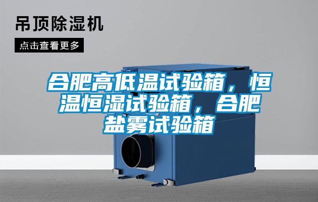 合肥高低溫試驗箱，恒溫恒濕試驗箱，合肥鹽霧試驗箱