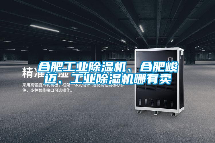 合肥工業(yè)除濕機、合肥峻邁、工業(yè)除濕機哪有賣