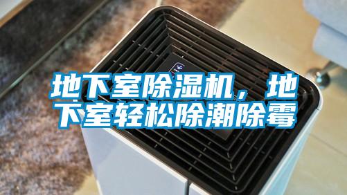 地下室除濕機，地下室輕松除潮除霉