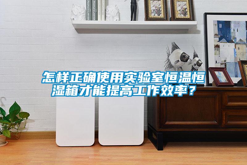 怎樣正確使用實(shí)驗(yàn)室恒溫恒濕箱才能提高工作效率？