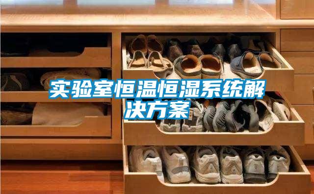 實(shí)驗(yàn)室恒溫恒濕系統(tǒng)解決方案