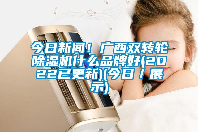 今日新聞！廣西雙轉(zhuǎn)輪除濕機(jī)什么品牌好(2022已更新)(今日／展示)