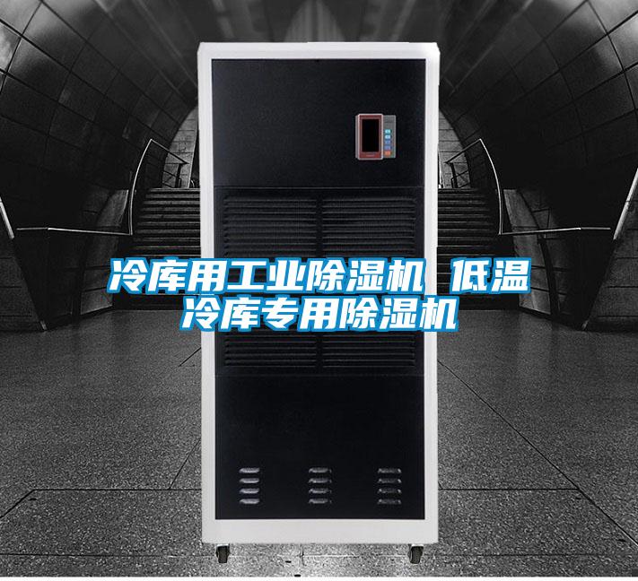 冷庫(kù)用工業(yè)除濕機(jī) 低溫冷庫(kù)專(zhuān)用除濕機(jī)