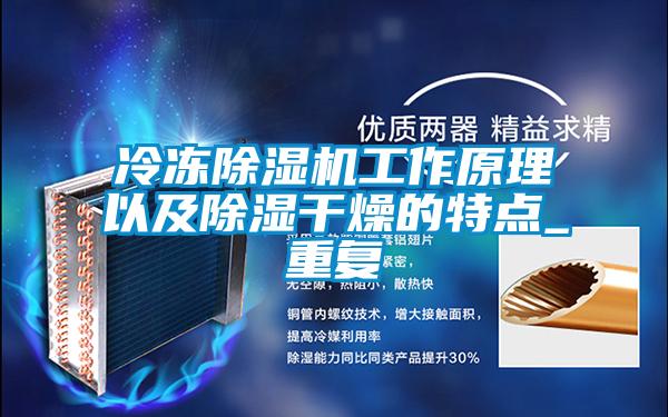 冷凍除濕機(jī)工作原理以及除濕干燥的特點_重復(fù)