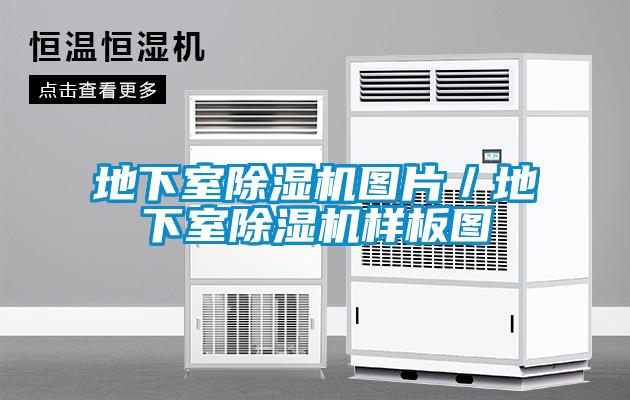 地下室除濕機(jī)圖片／地下室除濕機(jī)樣板圖