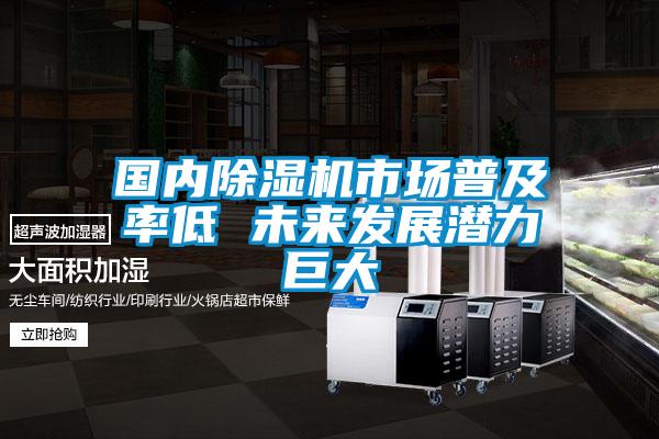 國內(nèi)除濕機(jī)市場普及率低 未來發(fā)展?jié)摿薮?></div>
								<div   id=