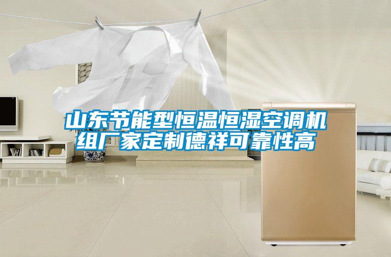 山東節(jié)能型恒溫恒濕空調(diào)機組廠家定制德祥可靠性高