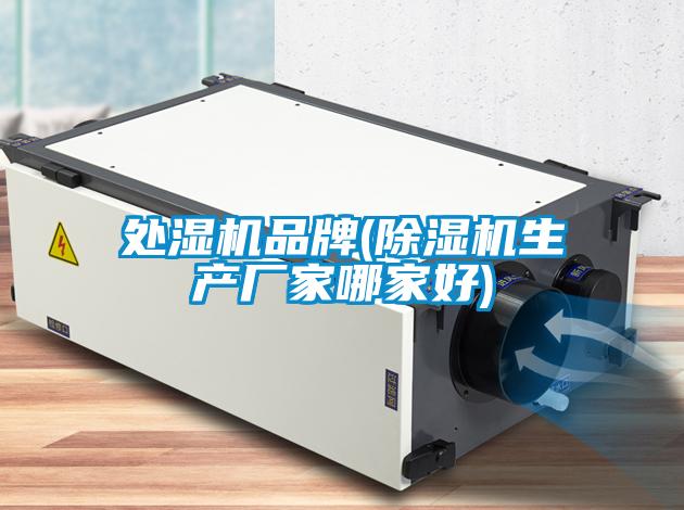 處濕機(jī)品牌(除濕機(jī)生產(chǎn)廠家哪家好)