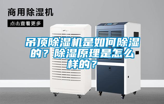 吊頂除濕機(jī)是如何除濕的？除濕原理是怎么樣的？