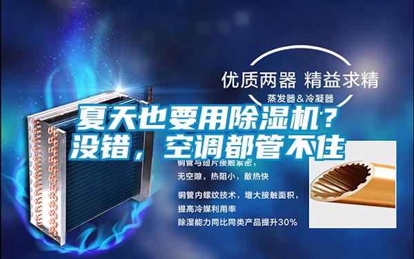 夏天也要用除濕機(jī)？沒(méi)錯(cuò)，空調(diào)都管不住
