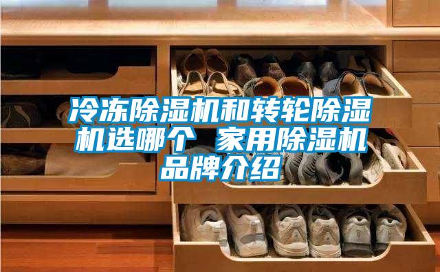 冷凍除濕機和轉(zhuǎn)輪除濕機選哪個 家用除濕機品牌介紹