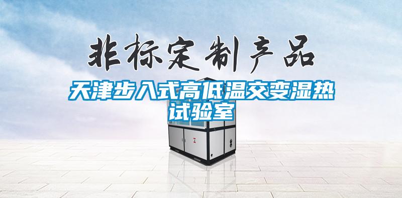 天津步入式高低溫交變濕熱試驗(yàn)室