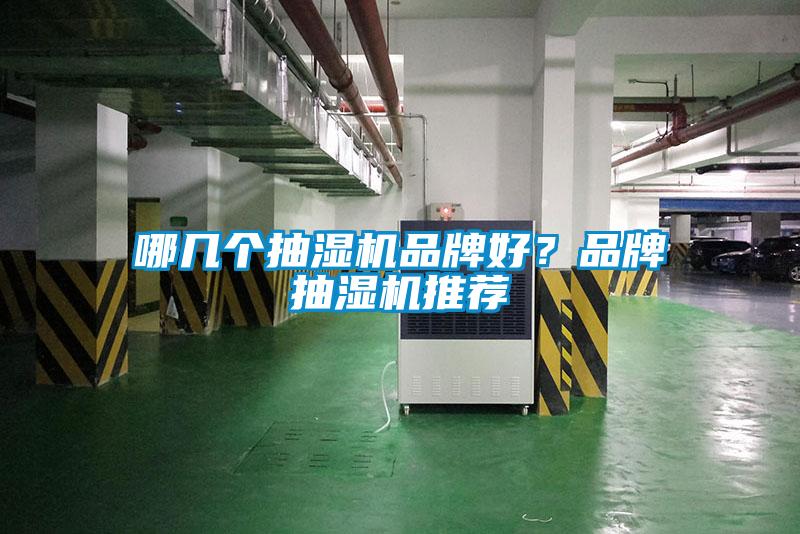 哪幾個(gè)抽濕機(jī)品牌好？品牌抽濕機(jī)推薦