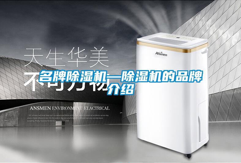 名牌除濕機(jī)—除濕機(jī)的品牌介紹