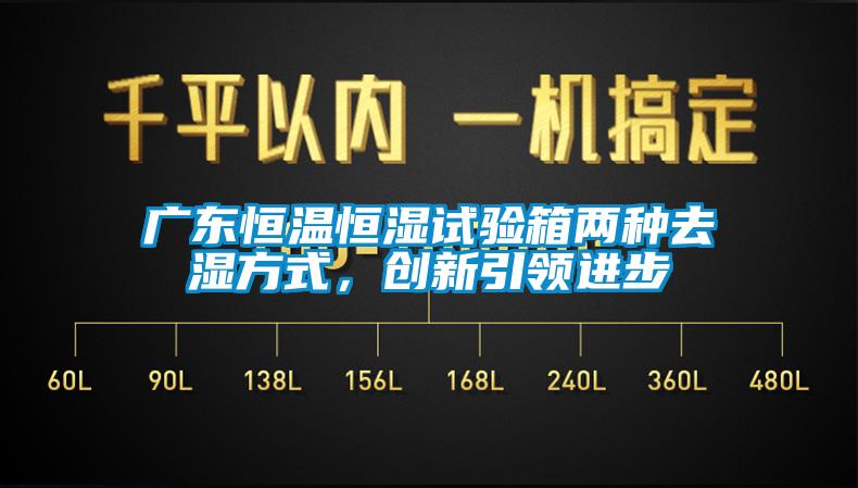廣東恒溫恒濕試驗(yàn)箱兩種去濕方式，創(chuàng)新引領(lǐng)進(jìn)步