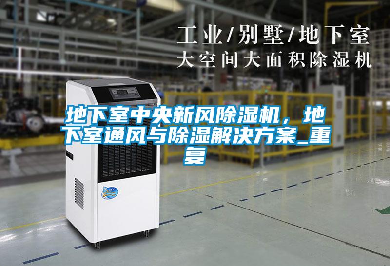地下室中央新風除濕機，地下室通風與除濕解決方案_重復