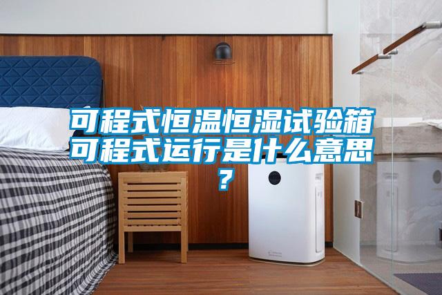 可程式恒溫恒濕試驗(yàn)箱可程式運(yùn)行是什么意思？