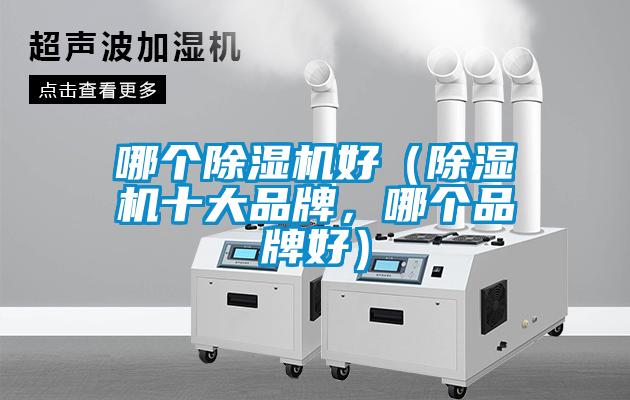 哪個(gè)除濕機(jī)好（除濕機(jī)十大品牌，哪個(gè)品牌好）
