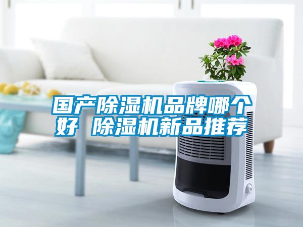 國(guó)產(chǎn)除濕機(jī)品牌哪個(gè)好 除濕機(jī)新品推薦
