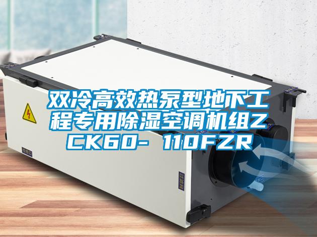 雙冷高效熱泵型地下工程專(zhuān)用除濕空調(diào)機(jī)組ZCK60- 110FZR