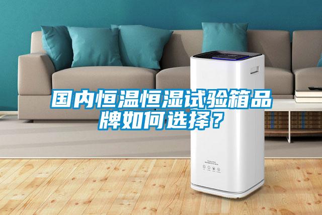 國(guó)內(nèi)恒溫恒濕試驗(yàn)箱品牌如何選擇？