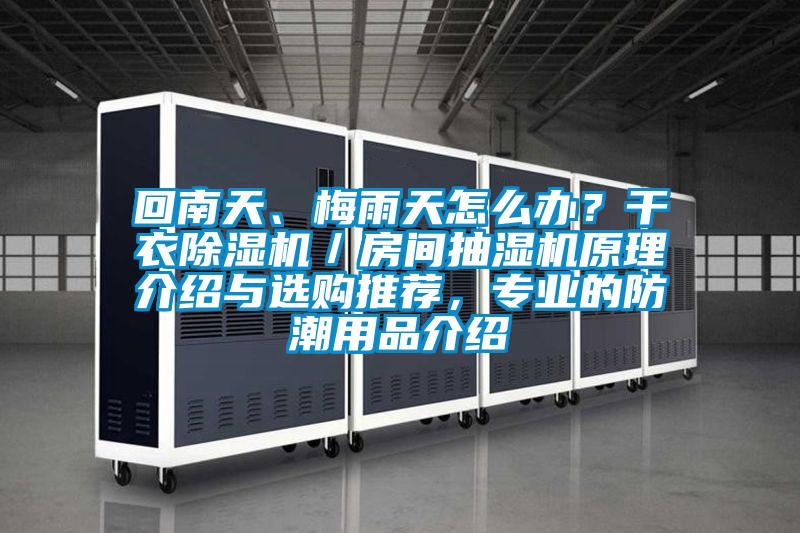 回南天、梅雨天怎么辦？干衣除濕機(jī)／房間抽濕機(jī)原理介紹與選購?fù)扑]，專業(yè)的防潮用品介紹