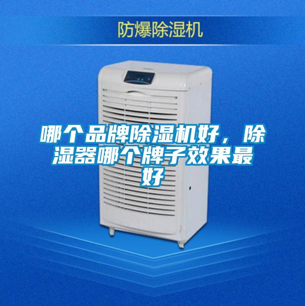 哪個(gè)品牌除濕機(jī)好，除濕器哪個(gè)牌子效果最好