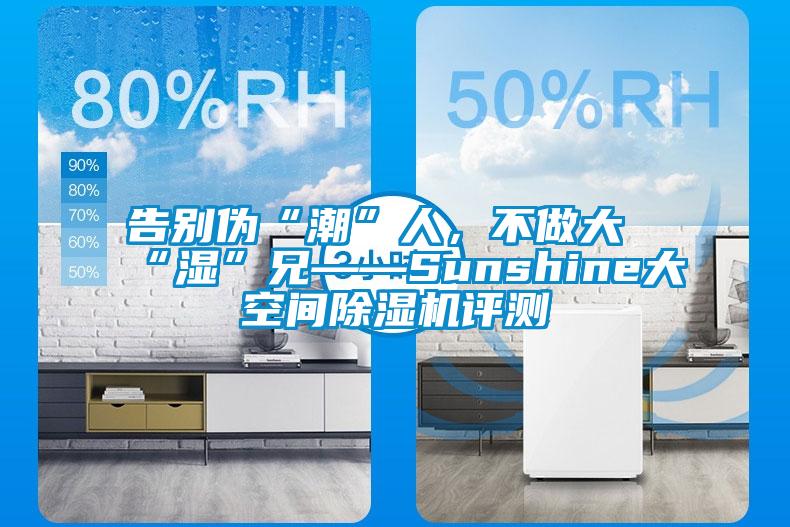 告別偽“潮”人，不做大“濕”兄——Sunshine大空間除濕機評測