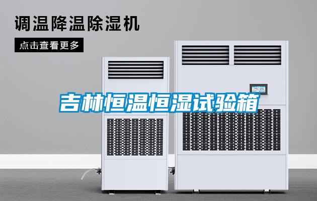 吉林恒溫恒濕試驗箱