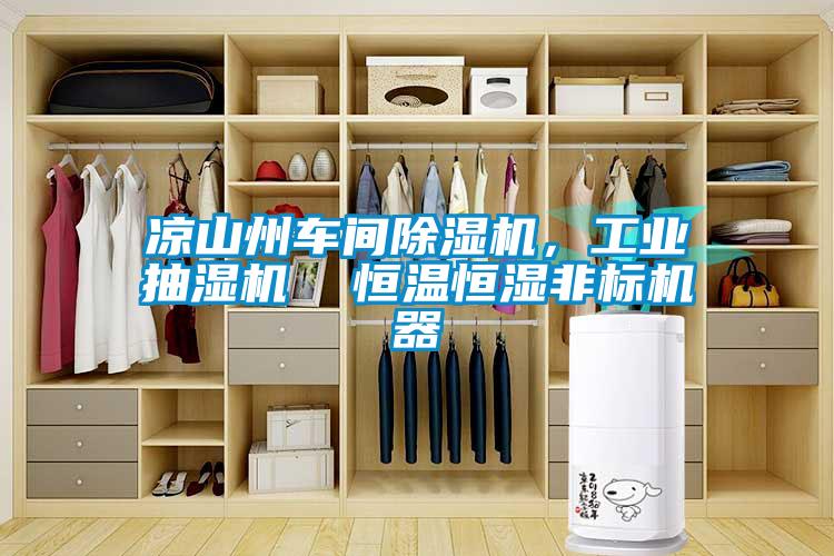 涼山州車間除濕機(jī)，工業(yè)抽濕機(jī)  恒溫恒濕非標(biāo)機(jī)器
