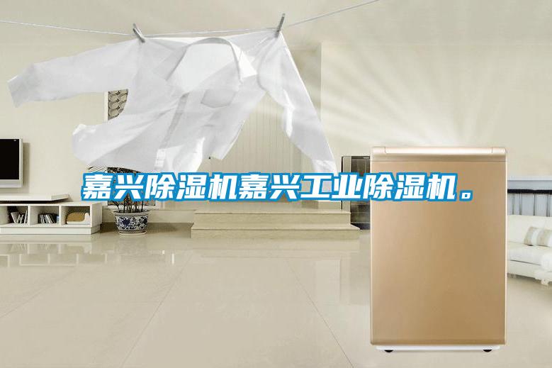 嘉興除濕機(jī)嘉興工業(yè)除濕機(jī)。