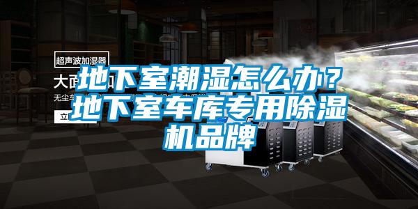 地下室潮濕怎么辦？地下室車庫專用除濕機品牌