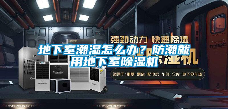 地下室潮濕怎么辦？防潮就用地下室除濕機(jī)