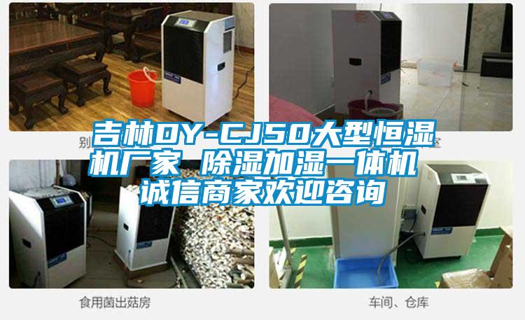 吉林DY-CJ50大型恒濕機(jī)廠家 除濕加濕一體機(jī) 誠信商家歡迎咨詢
