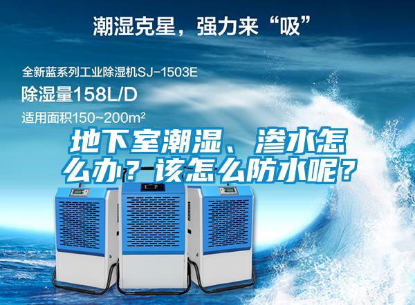 地下室潮濕、滲水怎么辦？該怎么防水呢？