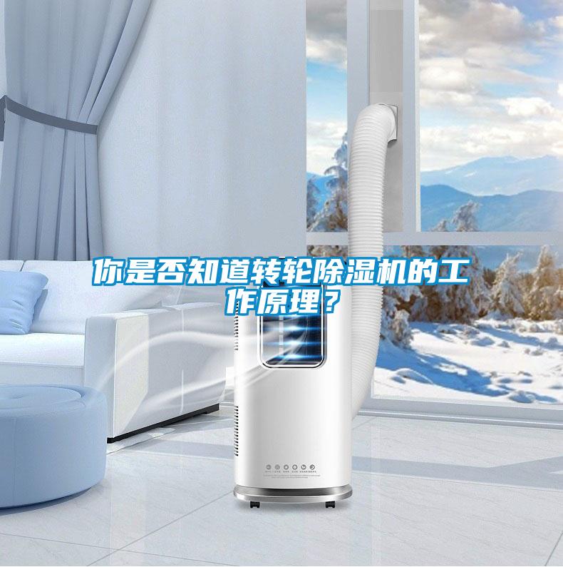 你是否知道轉(zhuǎn)輪除濕機(jī)的工作原理？
