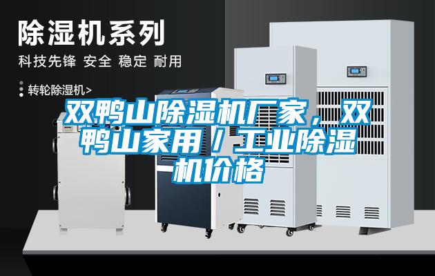 雙鴨山除濕機廠家，雙鴨山家用／工業(yè)除濕機價格