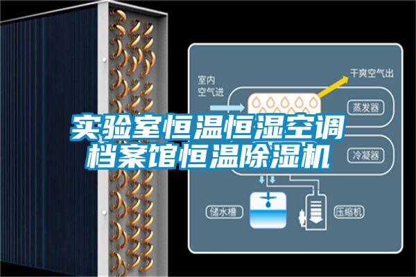 實(shí)驗(yàn)室恒溫恒濕空調(diào)檔案館恒溫除濕機(jī)