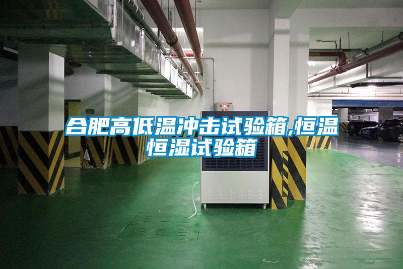 合肥高低溫沖擊試驗箱,恒溫恒濕試驗箱