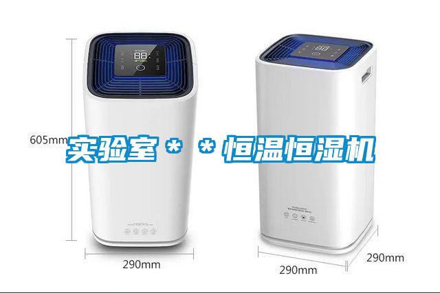 實驗室＊＊恒溫恒濕機(jī)