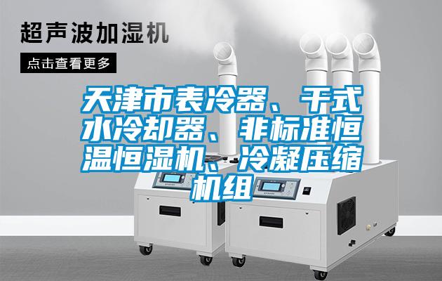 天津市表冷器、干式水冷卻器、非標(biāo)準(zhǔn)恒溫恒濕機、冷凝壓縮機組