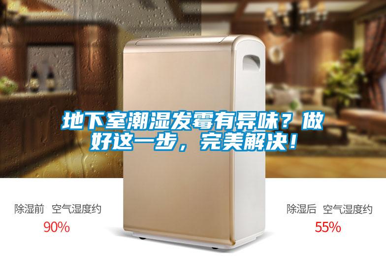 地下室潮濕發(fā)霉有異味？做好這一步，完美解決！