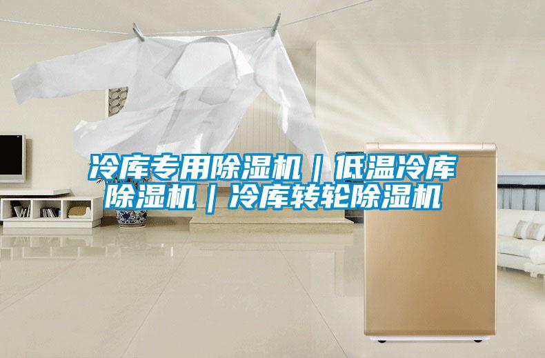 冷庫(kù)專(zhuān)用除濕機(jī)｜低溫冷庫(kù)除濕機(jī)｜冷庫(kù)轉(zhuǎn)輪除濕機(jī)